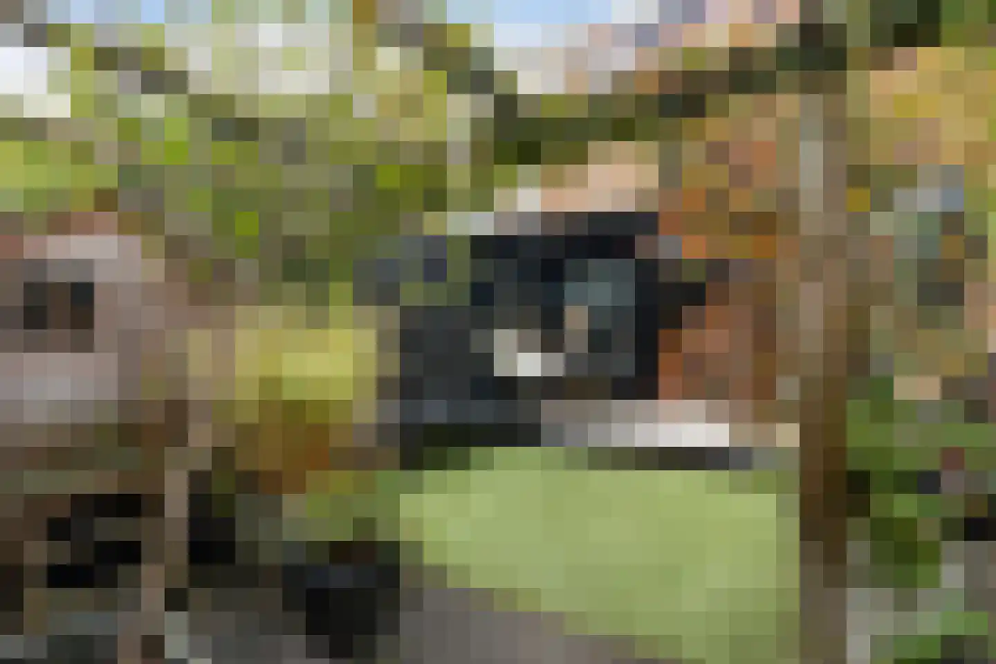 Dubbelsteynlaan Oost 160 Dordrecht thumbnail 33