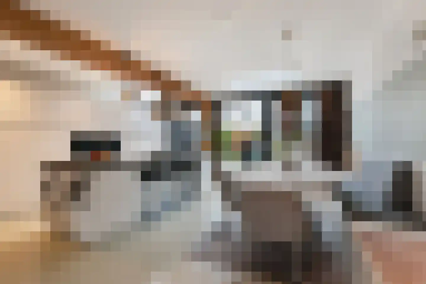 Dubbelsteynlaan Oost 160 Dordrecht thumbnail 4