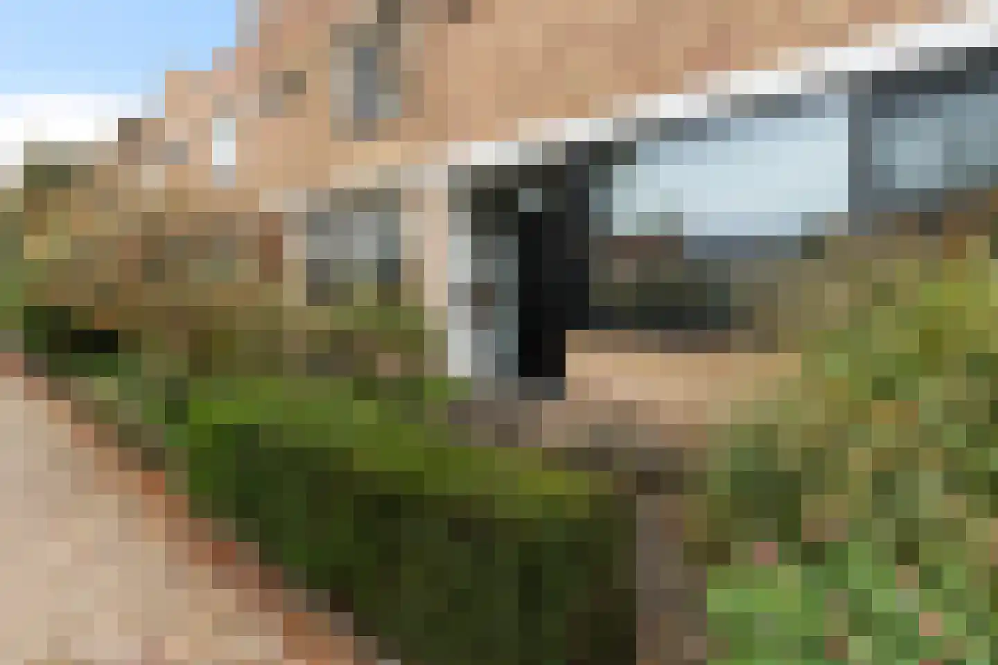 Dubbelsteynlaan Oost 160 Dordrecht thumbnail 8