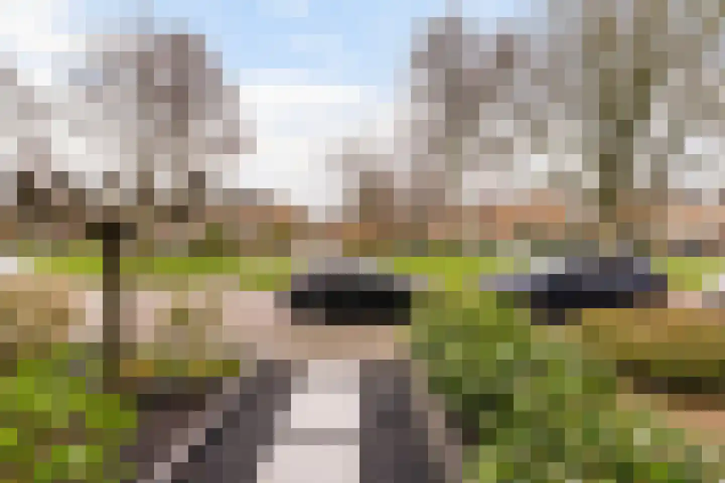 Dubbelsteynlaan Oost 163 Dordrecht thumbnail 7