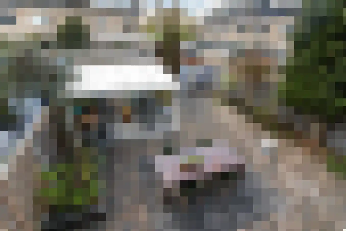 Dubbelsteynlaan Oost 183 Dordrecht thumbnail 23