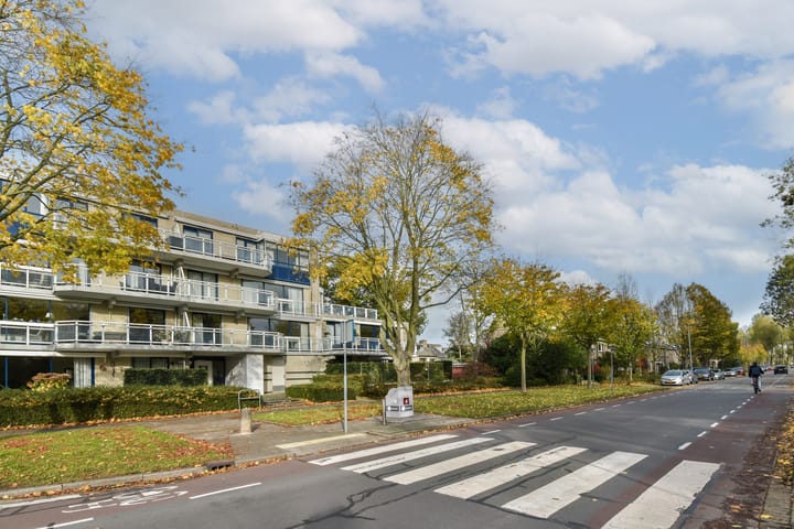 Dubbelsteynlaan Oost 218 in Dordrecht