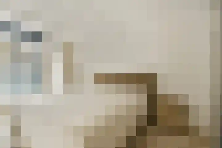 Dubbelsteynlaan Oost 218 Dordrecht thumbnail 4
