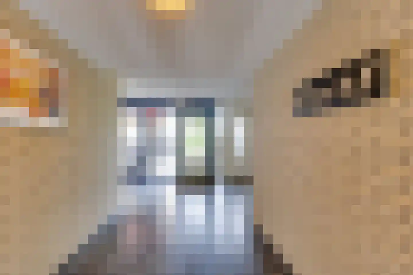 Dubbelsteynlaan Oost 224 Dordrecht thumbnail 6
