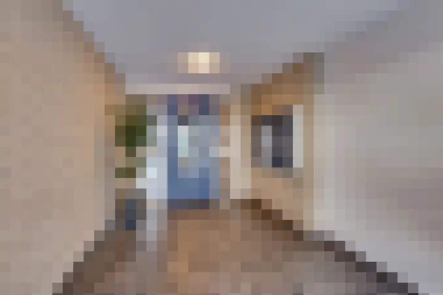 Dubbelsteynlaan Oost 224 Dordrecht thumbnail 7