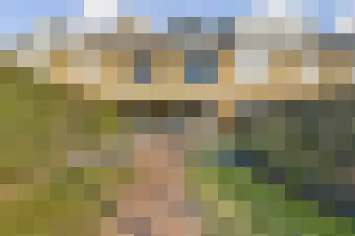 Dubbelsteynlaan Oost 225 Dordrecht thumbnail 6