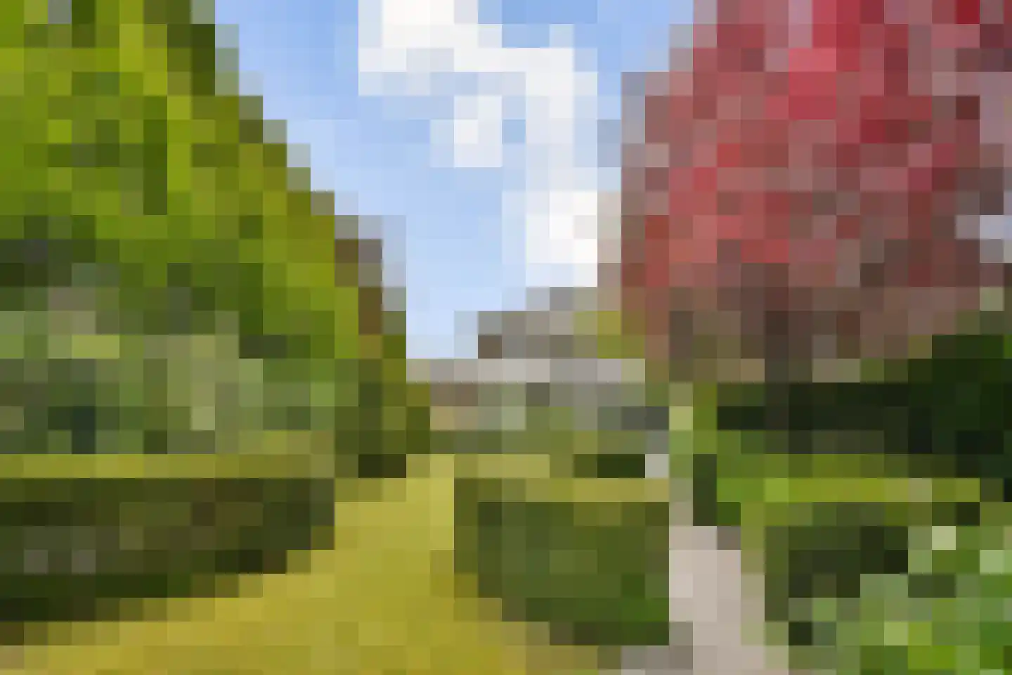 Dubbelsteynlaan West 50 Dordrecht thumbnail 30