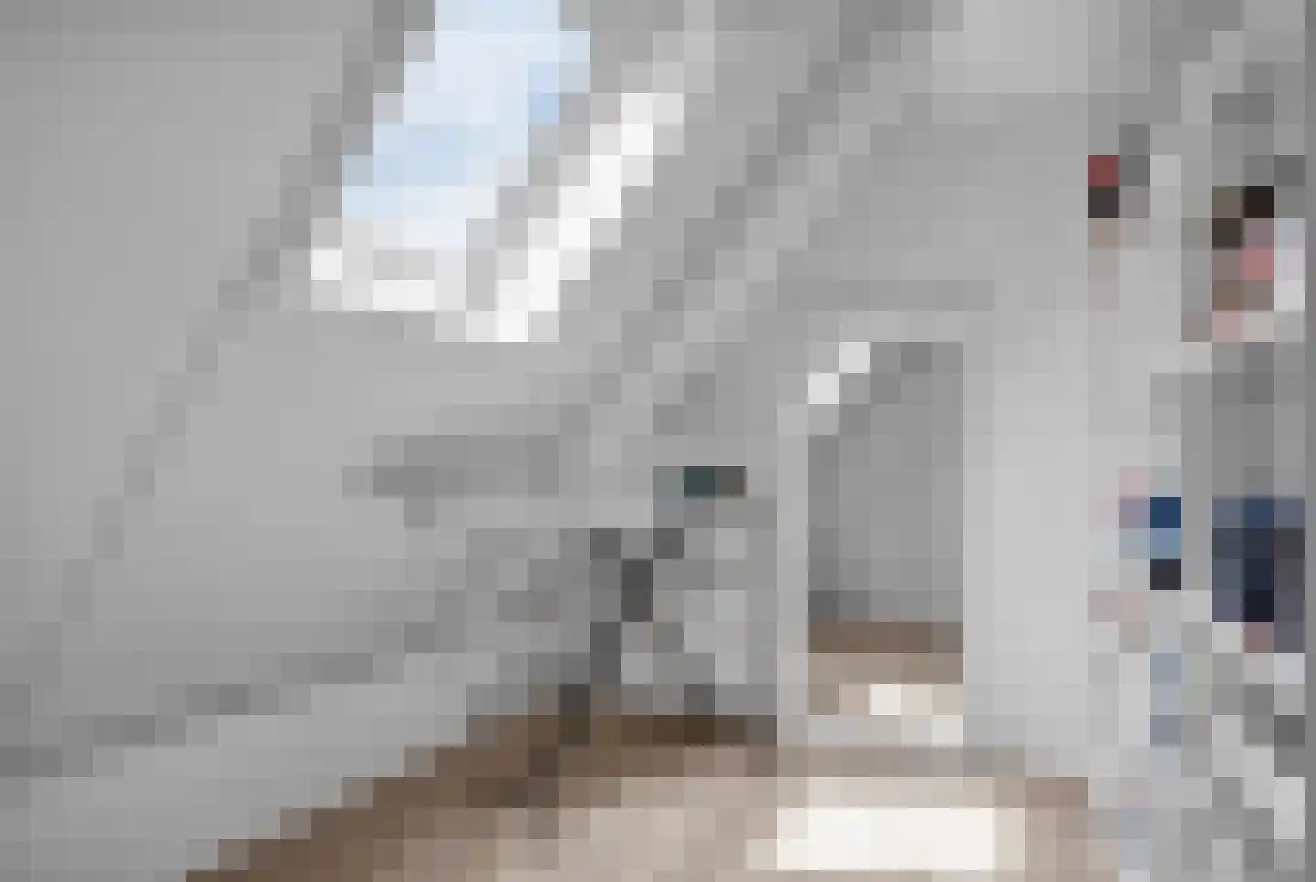 Dubbelstraat 208 Sloten thumbnail 25