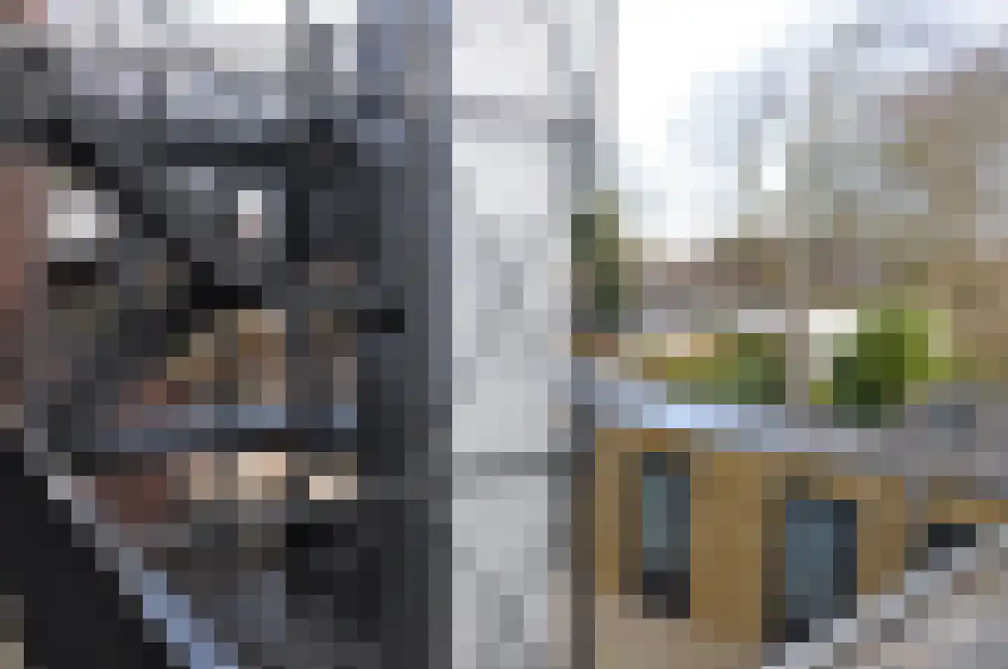 Dubbelstraat 5 A Balk thumbnail 31
