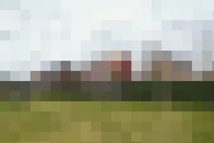 Dubbestraat 30 Nuenen thumbnail 28