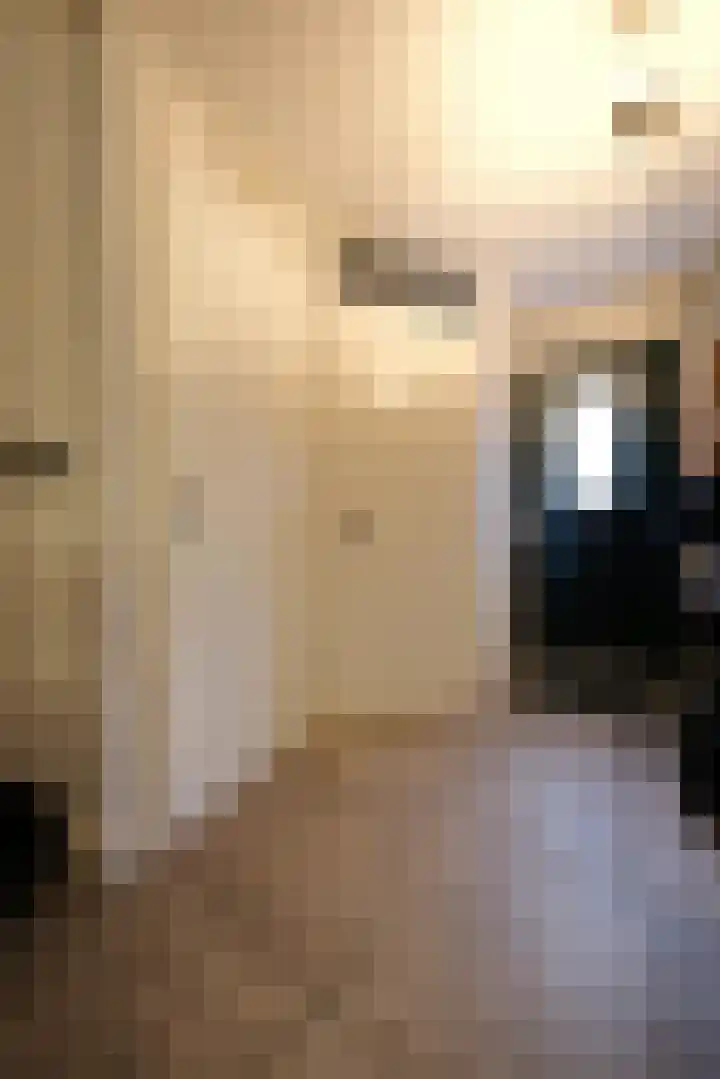 Dubčeksingel 11 Ede thumbnail 10