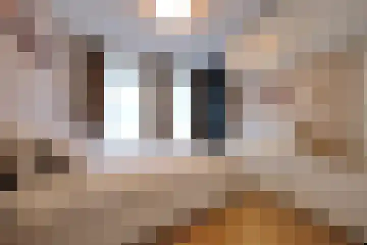 Dubčeksingel 11 Ede thumbnail 12