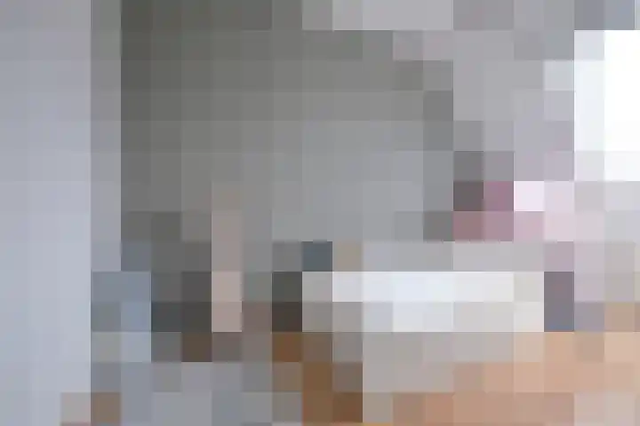 Dubčeksingel 11 Ede thumbnail 14