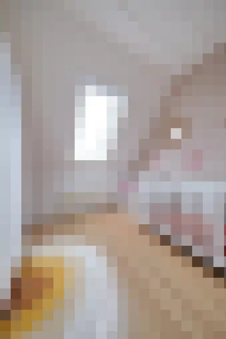 Dubčeksingel 11 Ede thumbnail 15