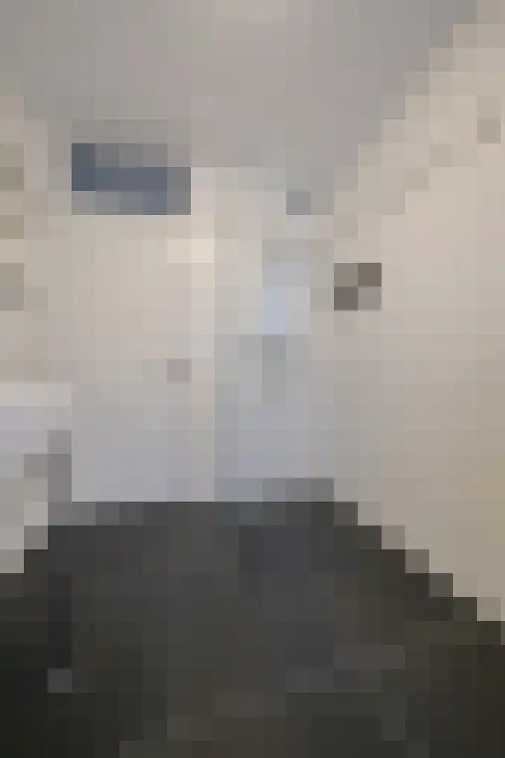 Dubčeksingel 11 Ede thumbnail 16