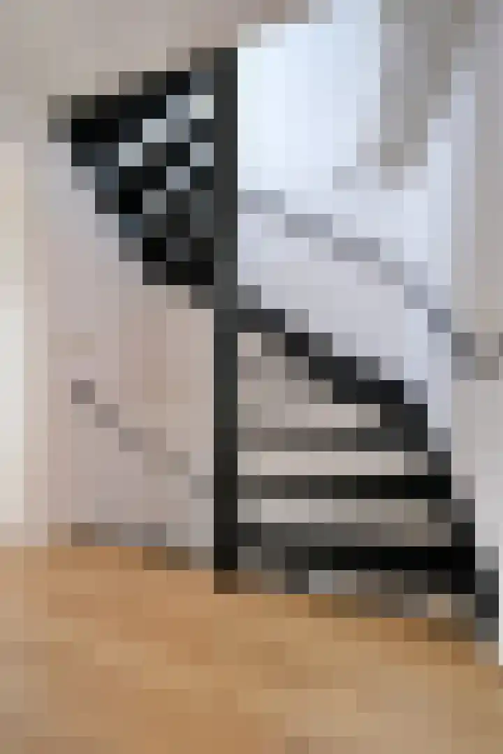 Dubčeksingel 11 Ede thumbnail 18