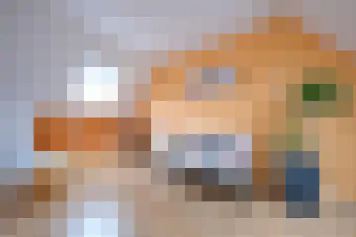 Dubčeksingel 11 Ede thumbnail 19