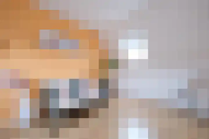 Dubčeksingel 11 Ede thumbnail 20
