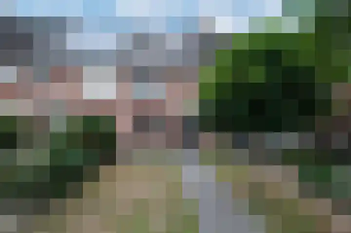 Dubčeksingel 11 Ede thumbnail 32
