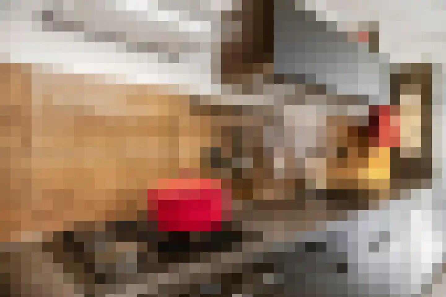 Dubčeksingel 14 Ede thumbnail 13