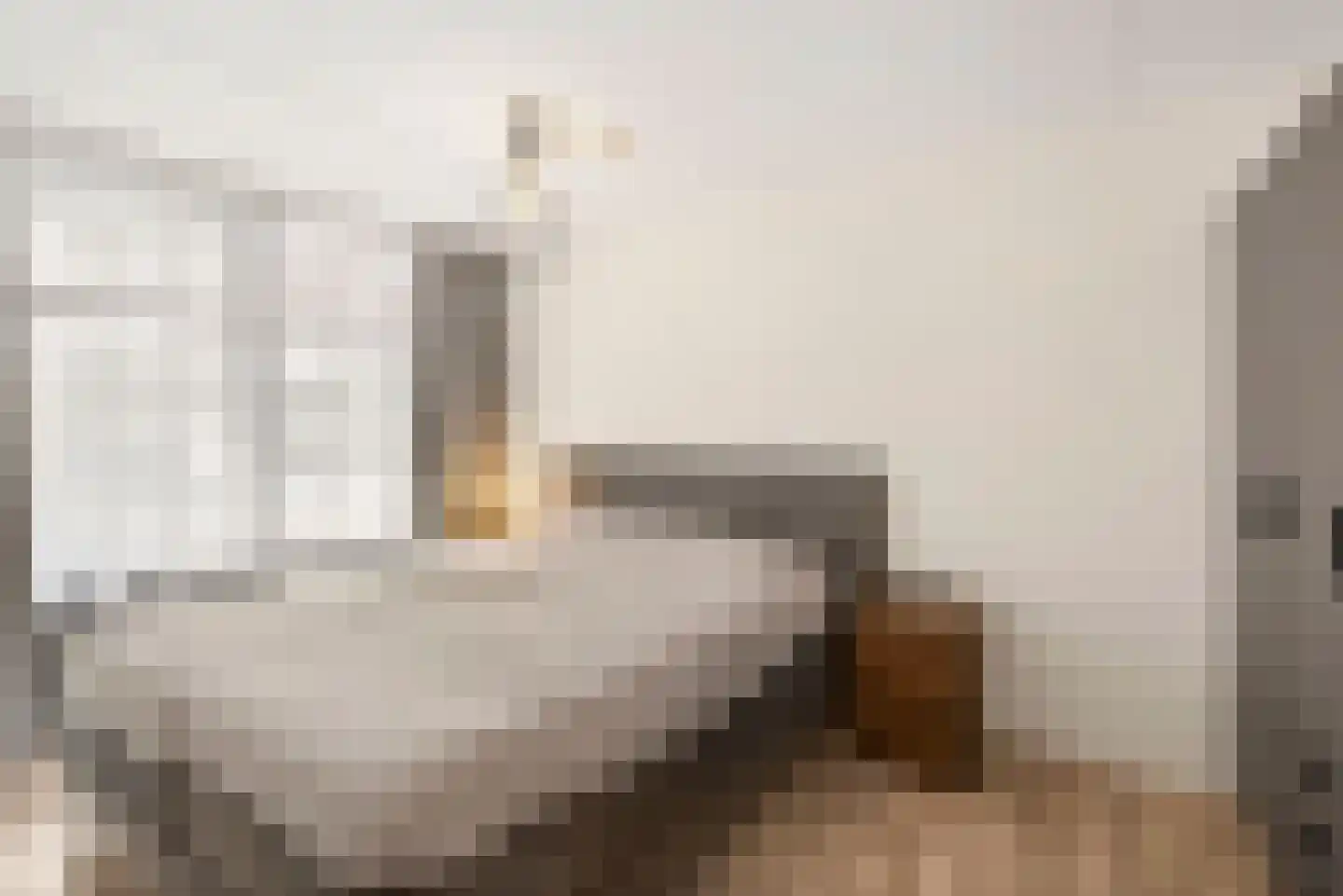 Dubčeksingel 14 Ede thumbnail 17