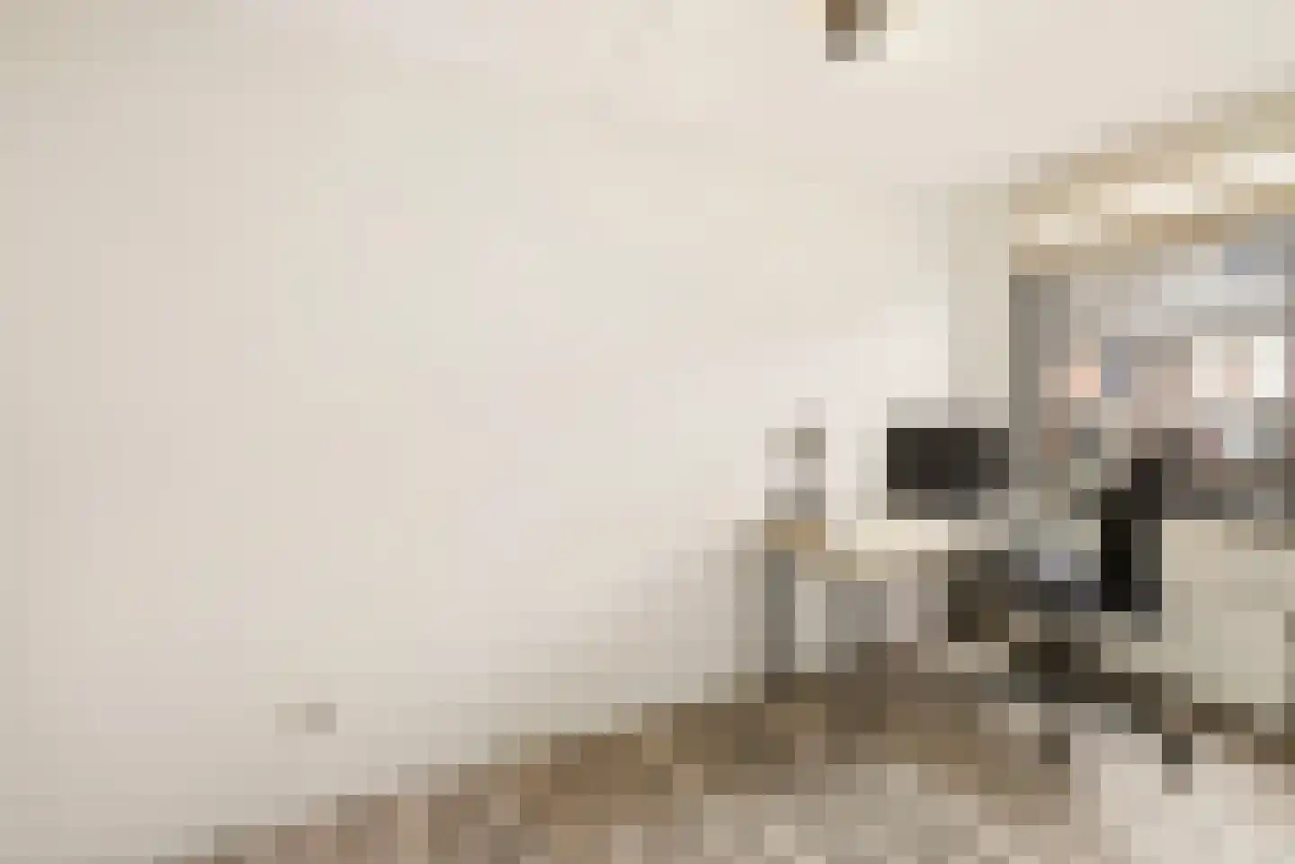 Dubčeksingel 14 Ede thumbnail 19