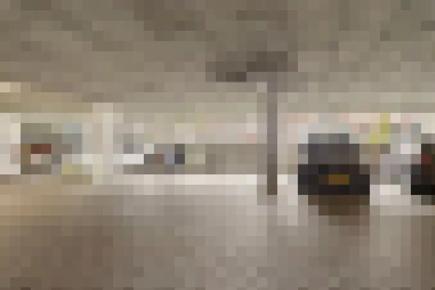 Dubčeksingel 14 Ede thumbnail 22