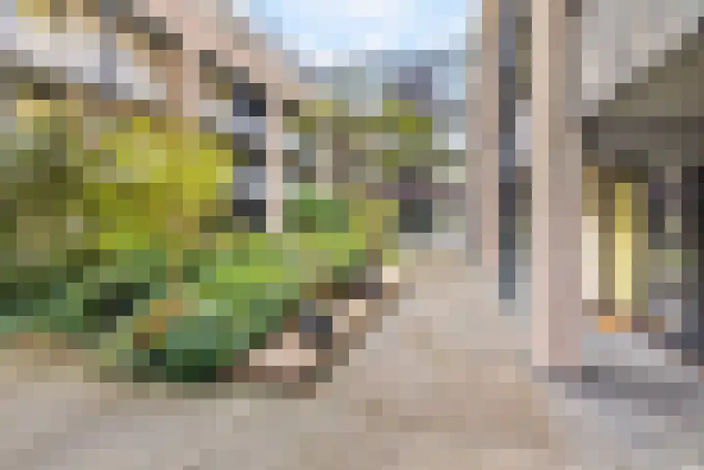 Dubčeksingel 14 Ede thumbnail 27