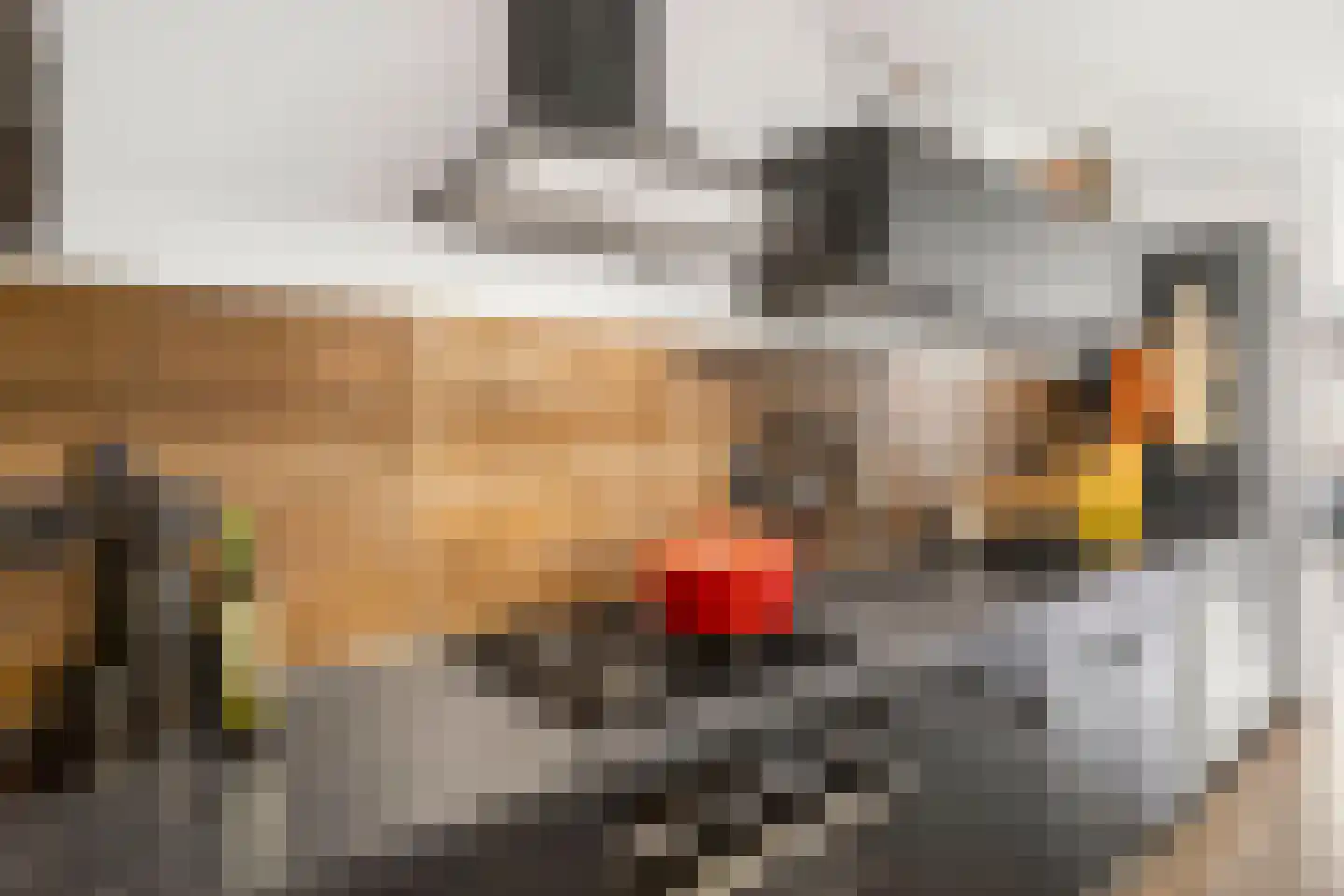 Dubčeksingel 14 Ede thumbnail 5