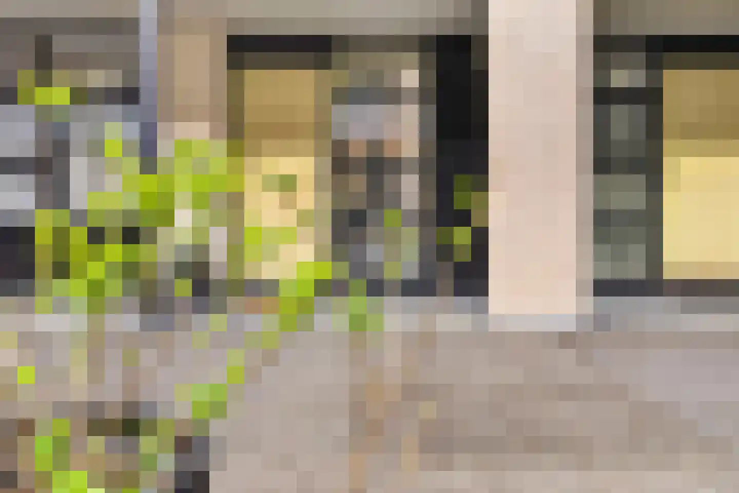 Dubčeksingel 14 Ede thumbnail 6