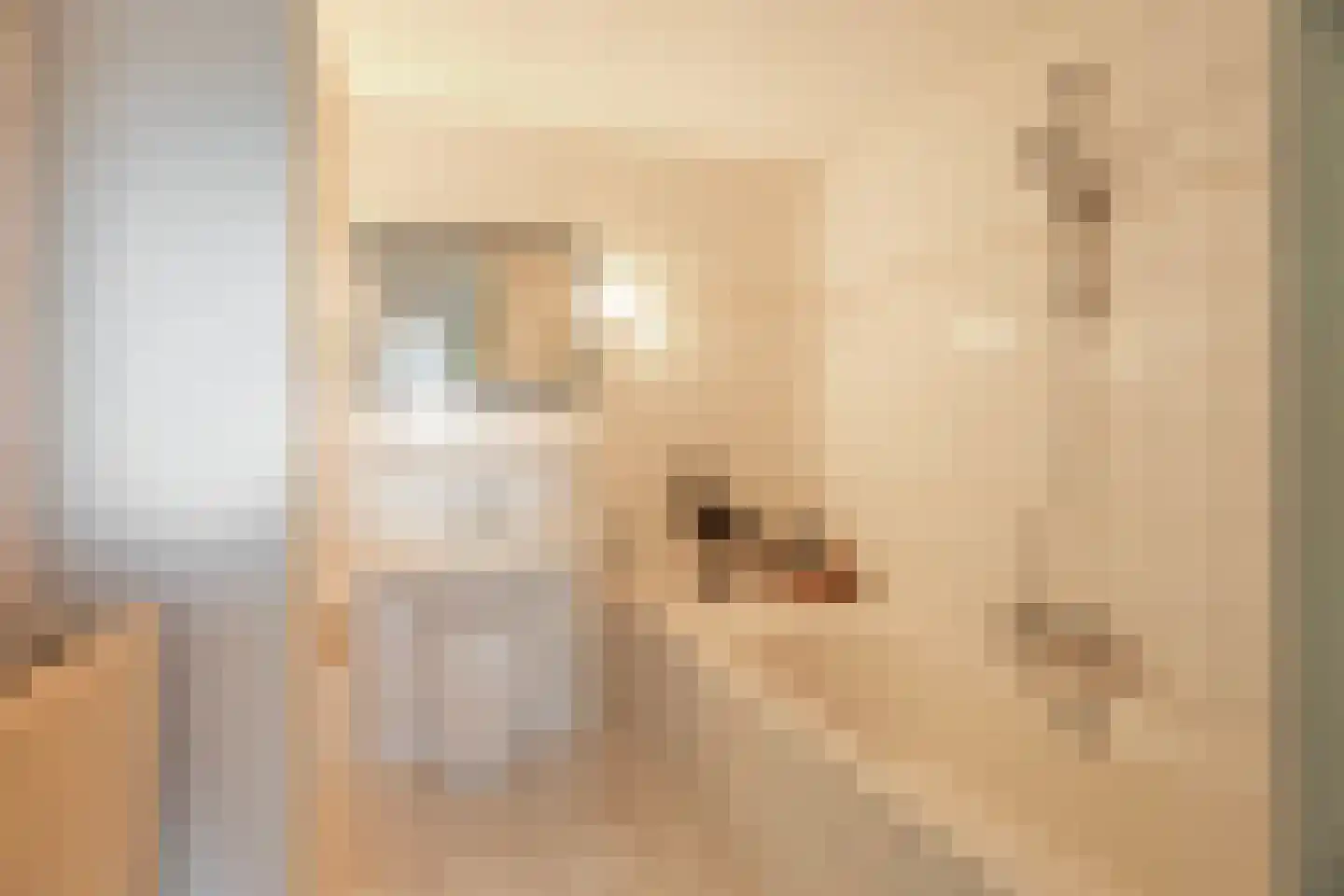 Dubčeksingel 142 Ede thumbnail 20