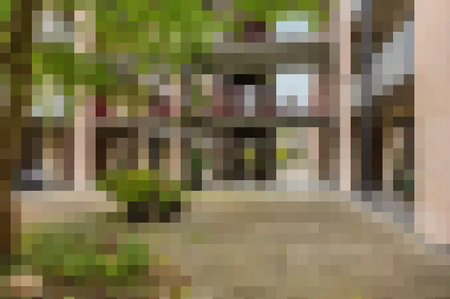 Dubčeksingel 142 Ede thumbnail 29