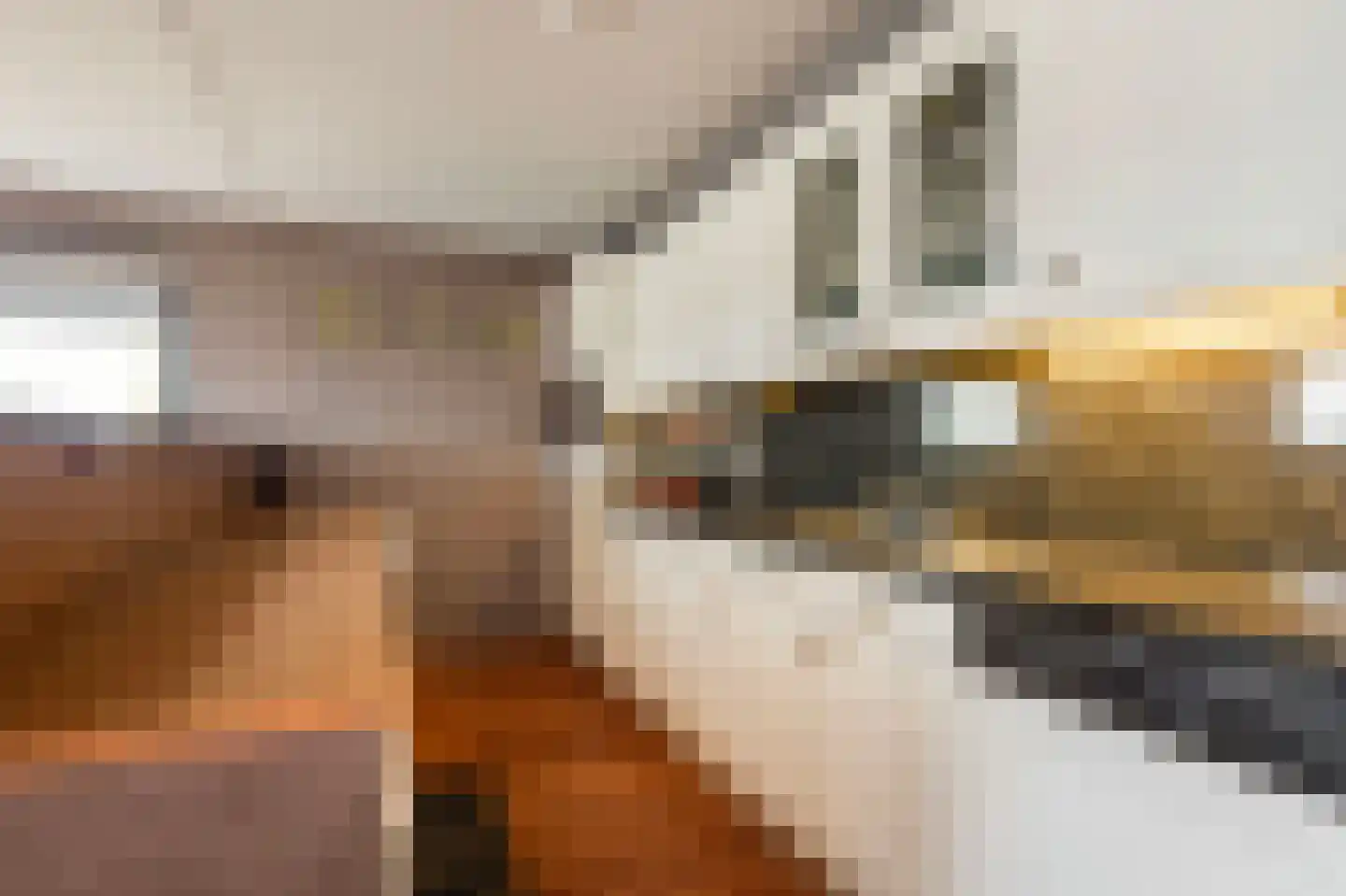 Dubčeksingel 142 Ede thumbnail 9