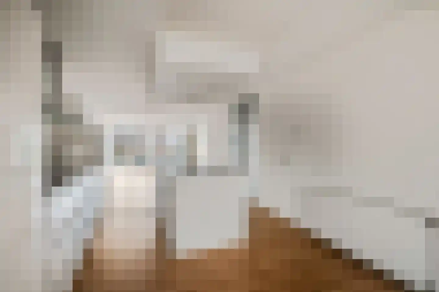 Dubčeksingel 148 Ede thumbnail 11