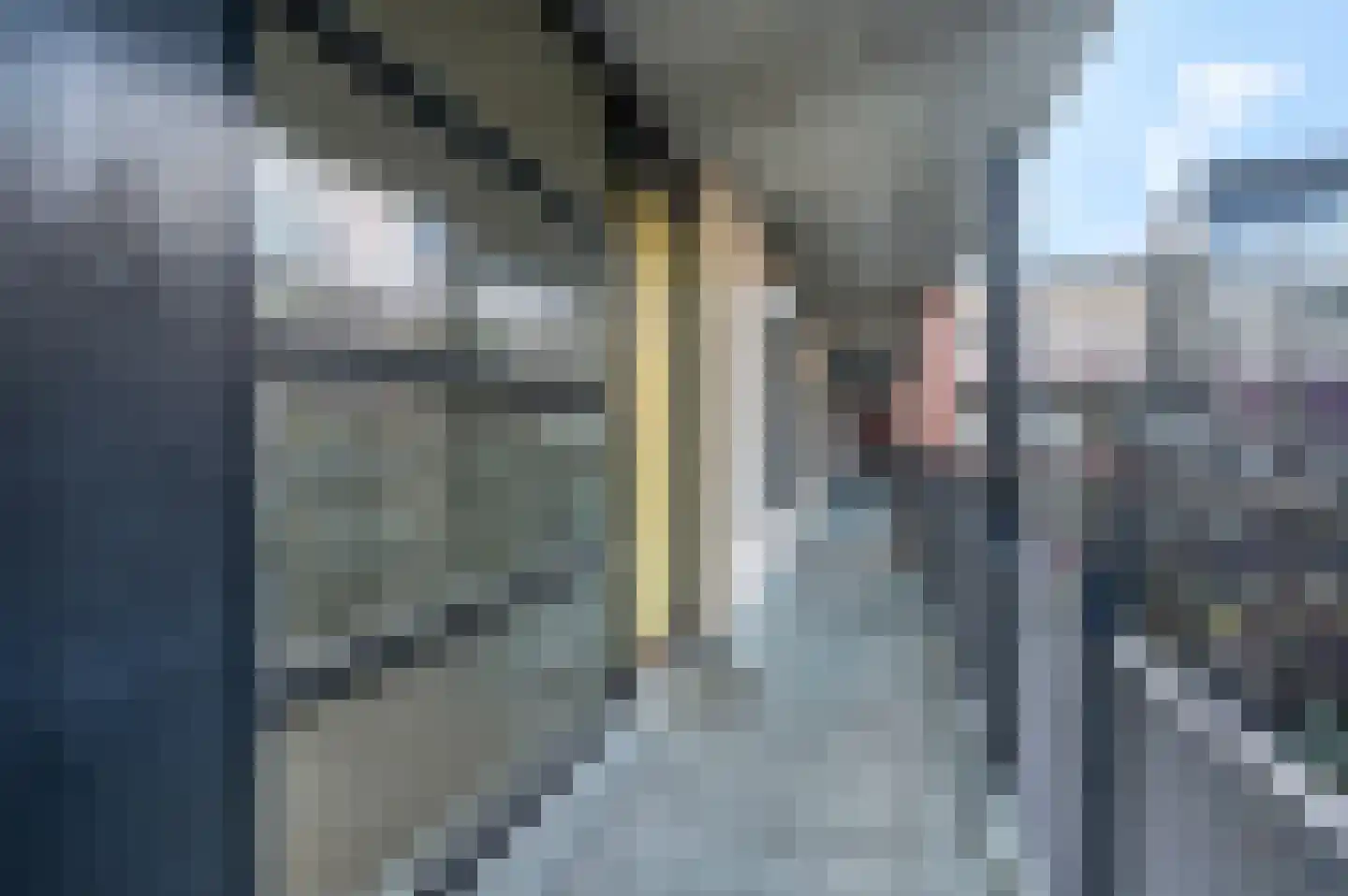 Dubčeksingel 148 Ede thumbnail 22