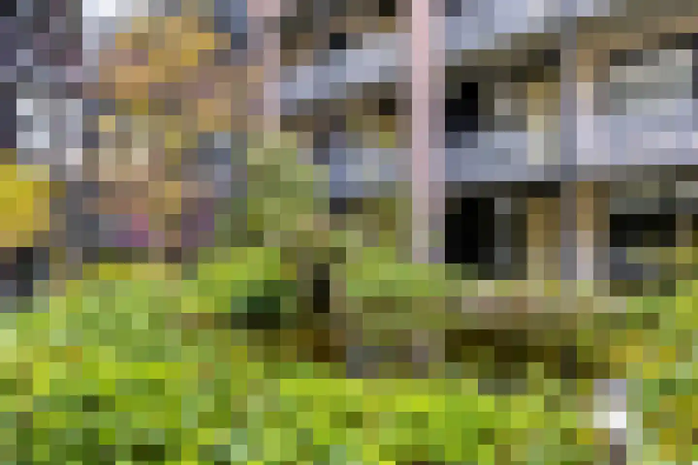 Dubčeksingel 148 Ede thumbnail 23
