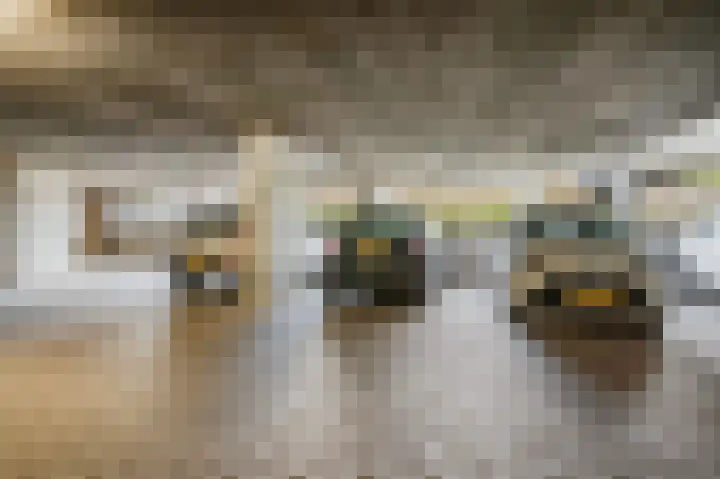 Dubčeksingel 148 Ede thumbnail 26