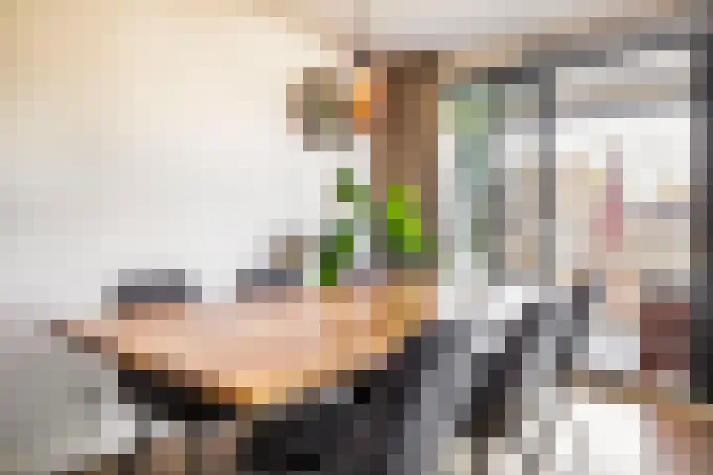 Dubčeksingel 64 Ede thumbnail 10