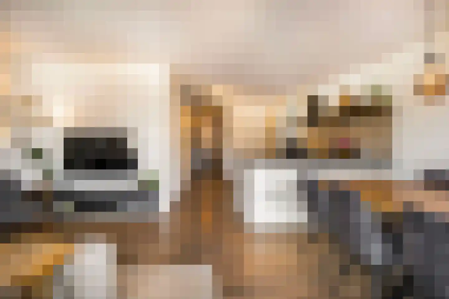 Dubčeksingel 64 Ede thumbnail 11