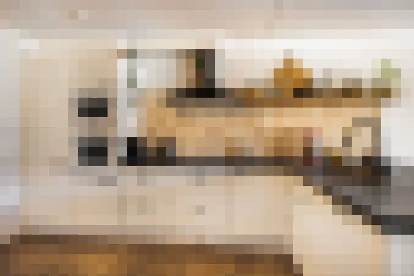 Dubčeksingel 64 Ede thumbnail 13