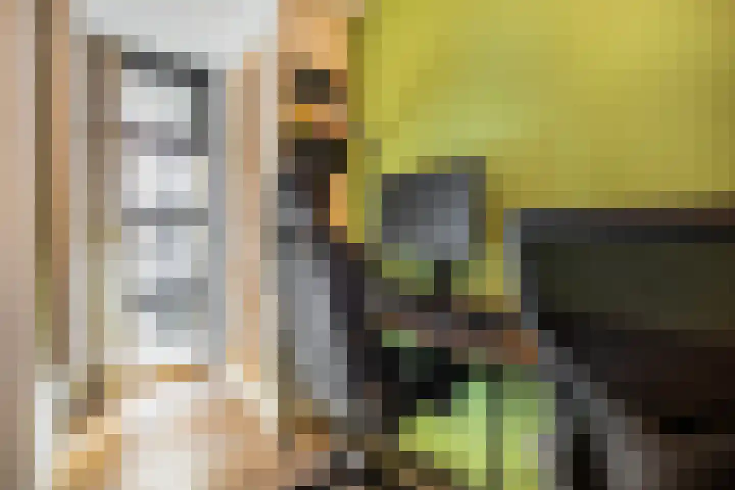 Dubčeksingel 64 Ede thumbnail 18