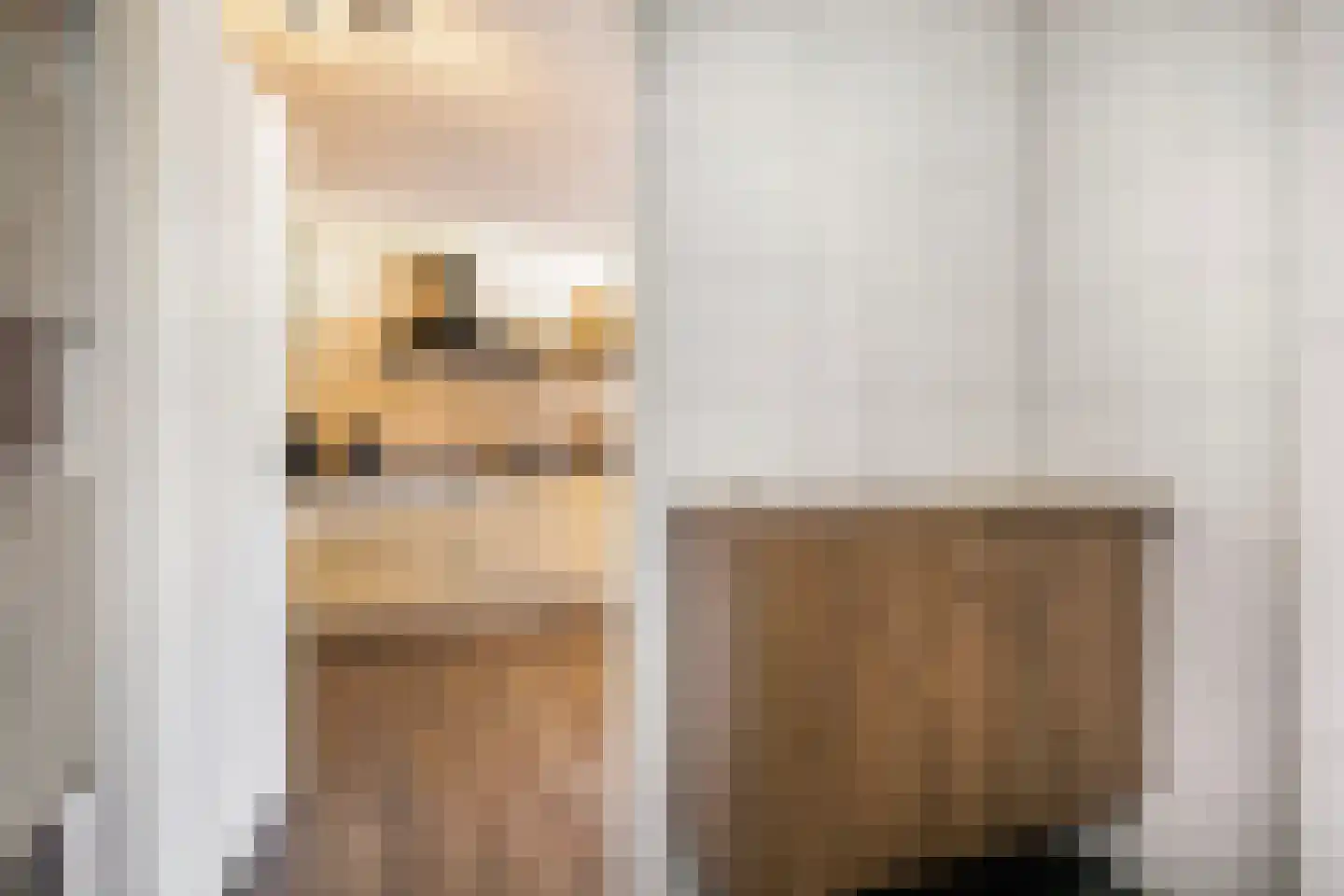Dubčeksingel 64 Ede thumbnail 21