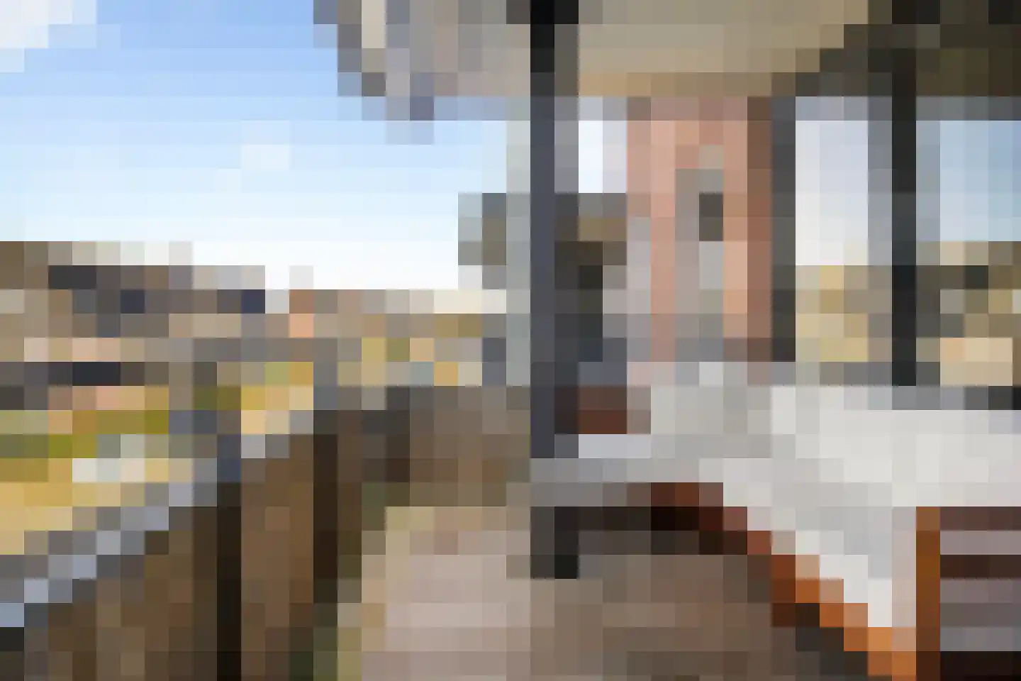 Dubčeksingel 64 Ede thumbnail 22