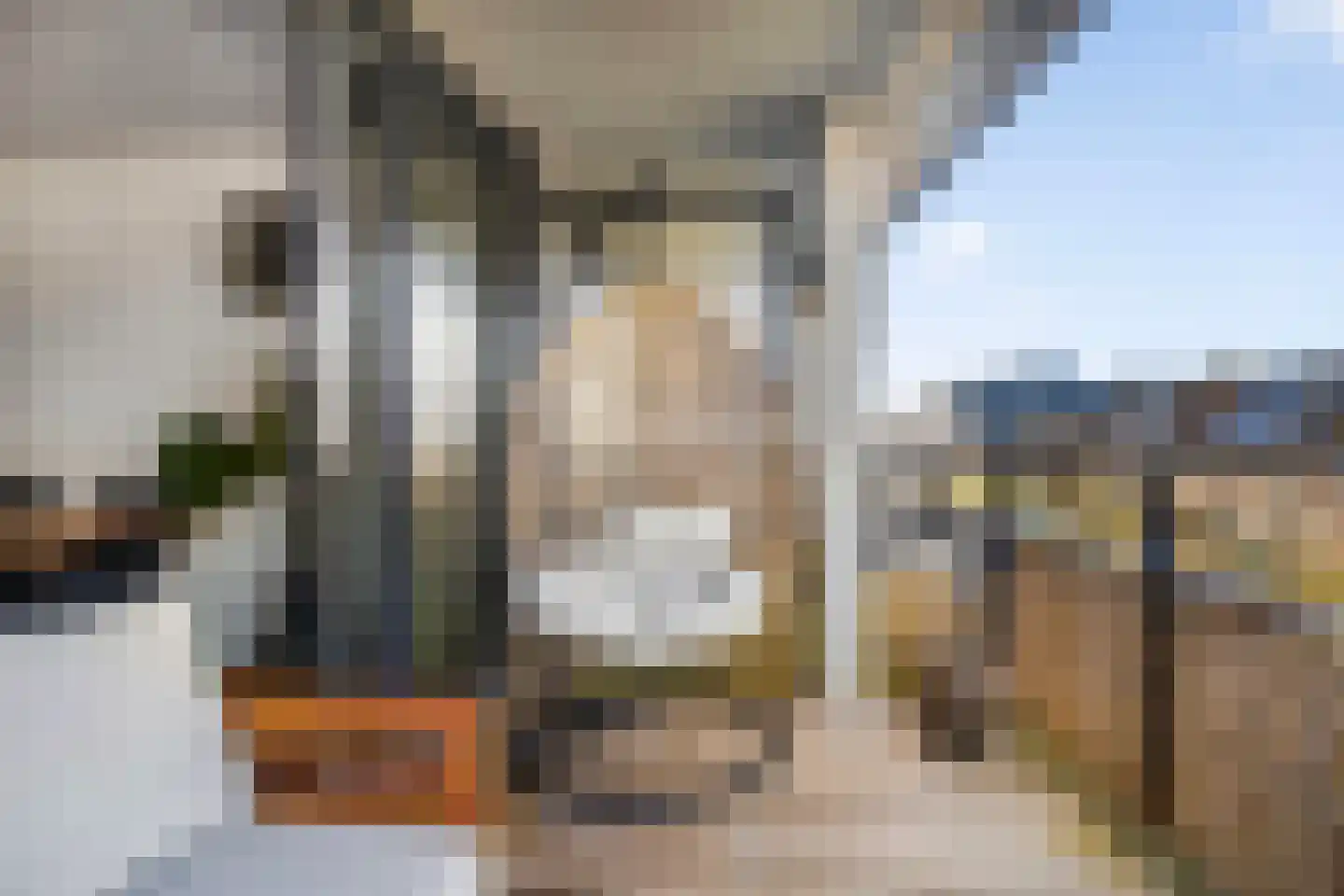 Dubčeksingel 64 Ede thumbnail 23