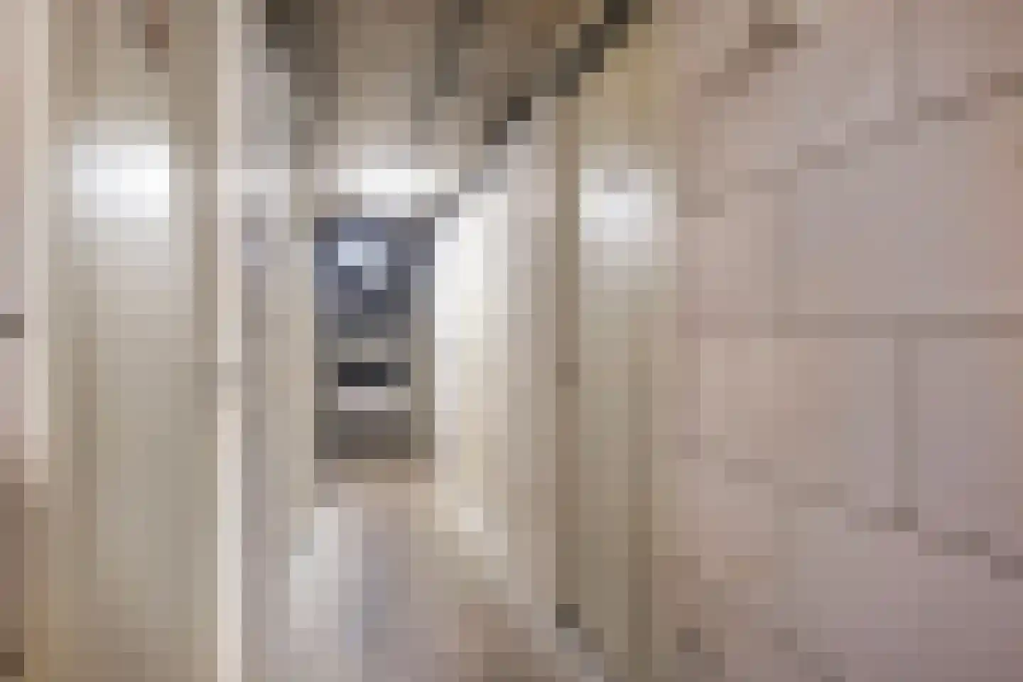 Dubčeksingel 64 Ede thumbnail 24
