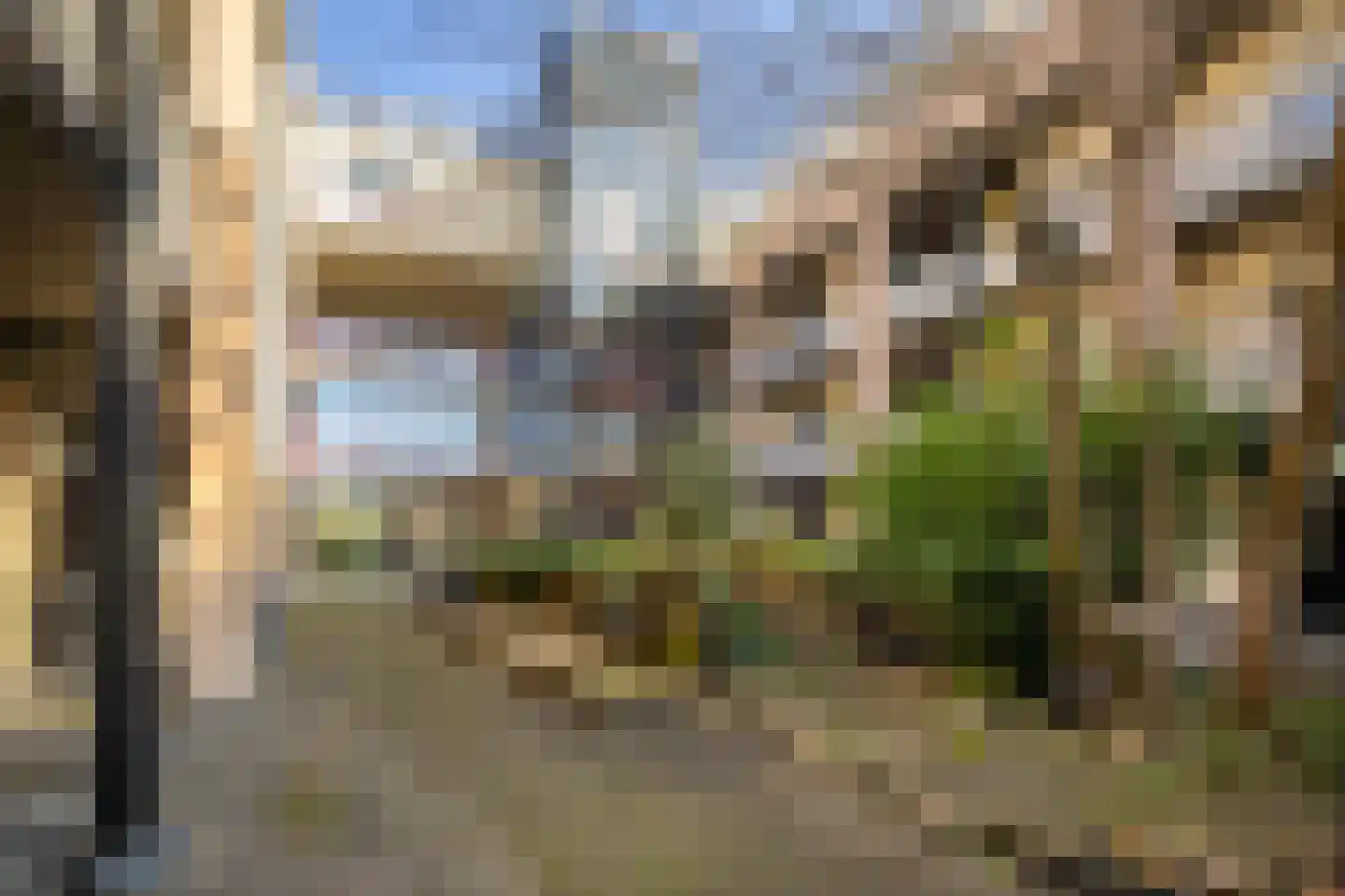Dubčeksingel 64 Ede thumbnail 27