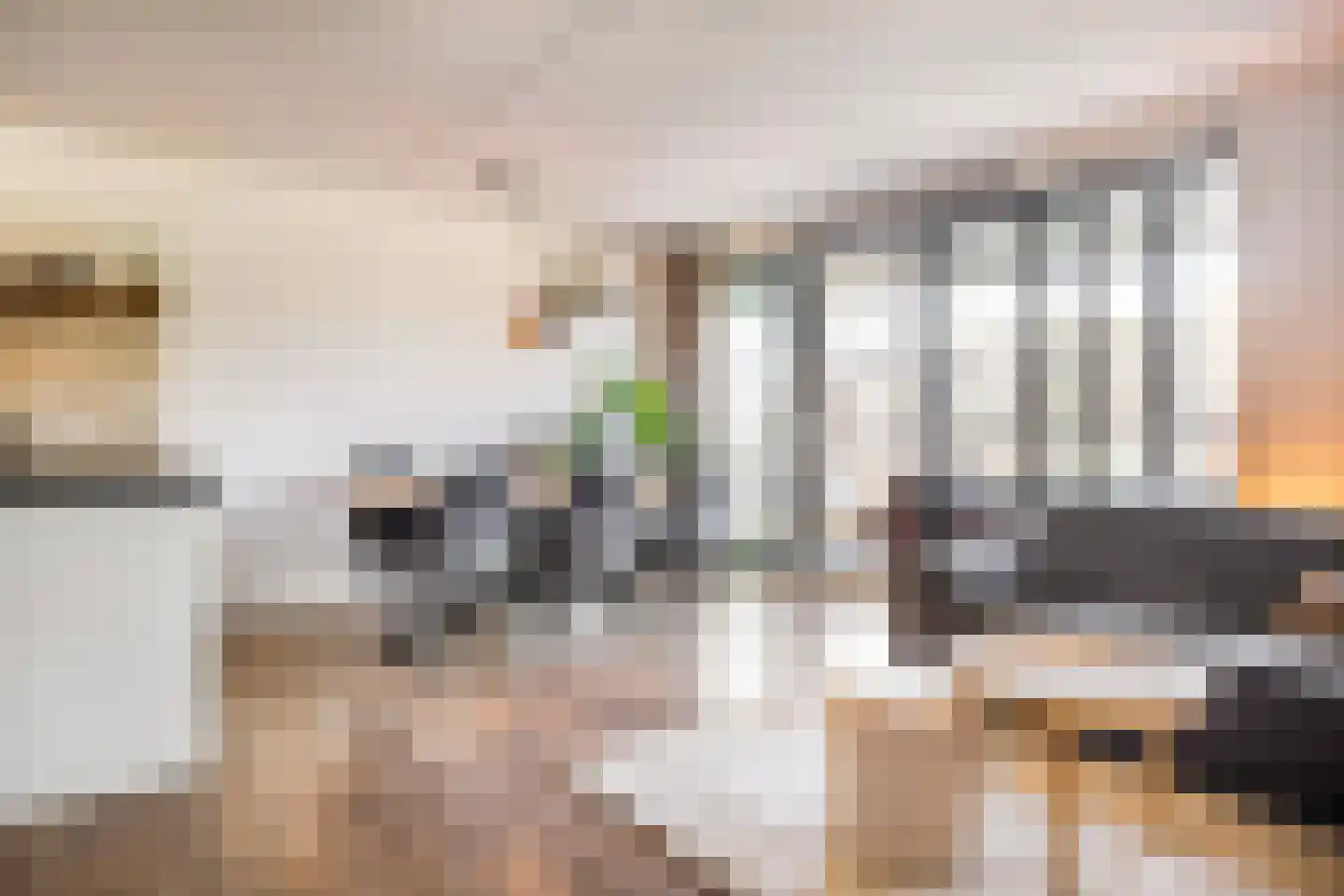 Dubčeksingel 64 Ede thumbnail 8