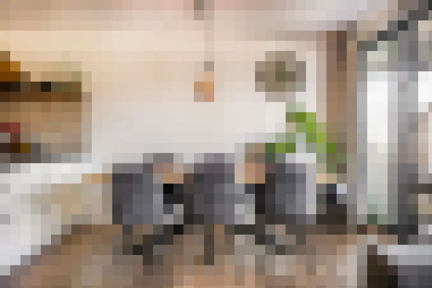 Dubčeksingel 64 Ede thumbnail 9