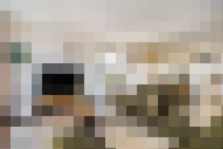 Dubčeksingel 86 Ede thumbnail 6