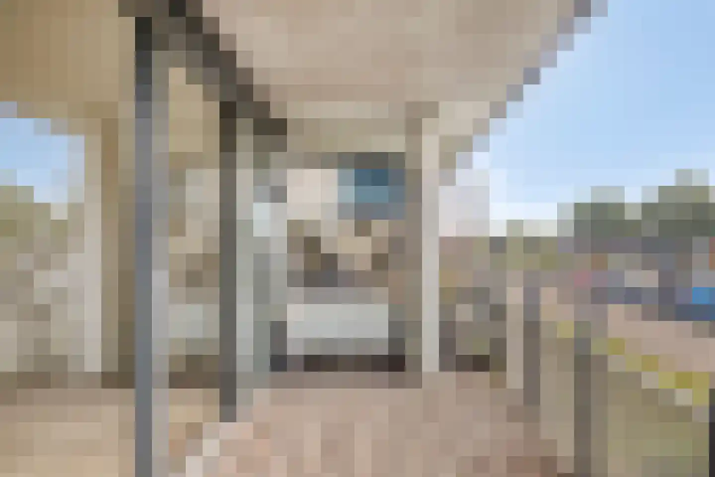 Dubčeksingel 92 Ede thumbnail 20